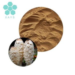 Suministro de fábrica <span class=keywords><strong>coprinus</strong></span> comatus polvo <span class=keywords><strong>coprinus</strong></span> comatus extracto en polvo - Product Image 2