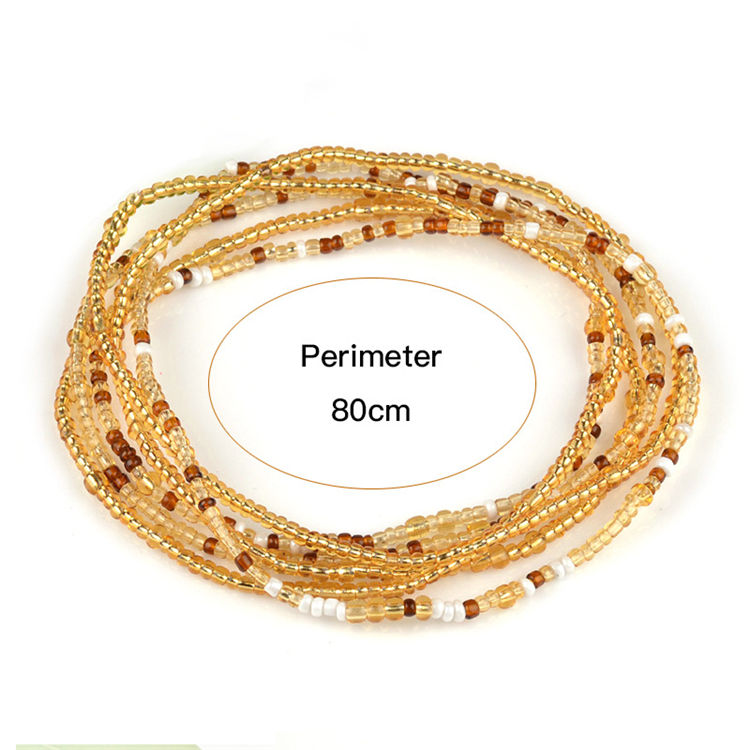 COLORFUL BLING 2Pcs Bohemian Lace Camellia Flower Collar Choker 並行輸入品 COLORFUL BLING 2 Pcs Boho Coin Barefoot Anklets Sandals Gold Silver Color  Charm Disc Ankle Bracelet Summer Anklet Beach Foot Chain Jewelry for Women