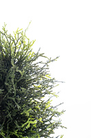 Treesmas 1,6 Meter hoher kegelförmiger künstlicher Baum Home Decor Künstliche pflanzen förmige Topiary-Bäume