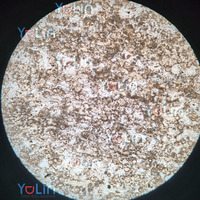 100% Factory Prepared Microscope 12 Pcs Geology Mineral Stone Thin Section Prepared Microscope Slides for Professional Geology