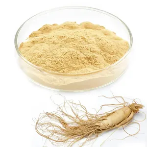 Water Soluble Korean Red Ginseng Root Extract 80% Ginsenosides 5% Panax Siberian Ginseng Extract Powder Ginseng Extract