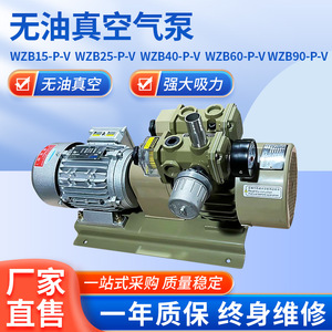ปั๊มสุญญากาศแบบไร้น้ำมัน Isge Wzb-P-V 22 ลูกบาศก์เมตร/ชั่วโมง 100000 พาสคาล เหล็กหล่อ สแตนเลส ใช้ไฟฟ้า สำหรับงานพิมพ์และบรรจุภัณฑ์ - Product Image 5