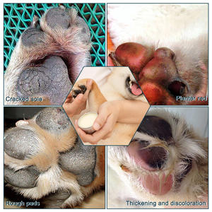 Baume pour les pattes des chiens et des chats, vegan, marque privée OEM, hydratant et nourrissant naturel, pour les pattes sèches et gercées - Product Image 3
