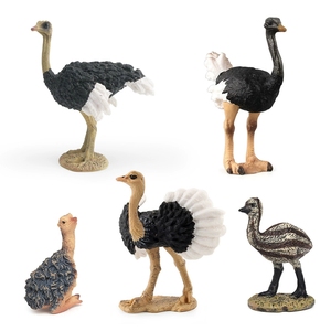 Jouets cognitifs pour enfants, modèles d'animaux en PVC, poussins d'autruche africains et australiens, décorations d'élevage avicole - Product Image 2