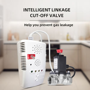 מטבח בישול גז דליפת גלאי מטבח מתאן גז גלאי - Product Image 4