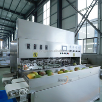 Xinlongjia Nieuw Ontwerp Ananas Mango Groente Fruitsnijder Snijmachine Snijmachine Snijmachine
