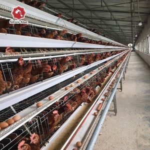 Lồng Gà Trứng Kiểu H Giá Tốt Nhất Bán Trực Tiếp Từ Nhà Máy Sản Xuất Sao Bạc - Product Image 1