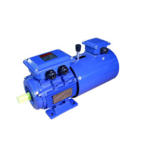 Hangzhou YDFORCE Factory Custom 220V 380V <span class=keywords><strong>Ac</strong></span> Motor eléctrico <span class=keywords><strong>Motorreductor</strong></span> Motor de engranajes - Product Image 5