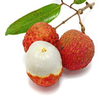 Poudre de jus de fruit Rainbow Supply, poudre de litchi/litchi en poudre/poudre de litchi lyophilisée de la meilleure qualité