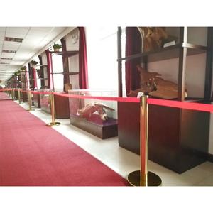 Otel kalabalık kontrol sistemi çelik geri çekilebilir genişletilebilir trafik oteller için güvenlik çiti hızlı güvenlik kuyruk bariyeri - Product Image 5