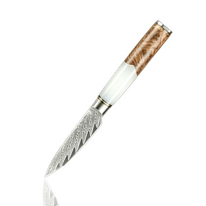 Couteau à éplucher à motif damas 67 couches, manche en résine de bois, acier inoxydable, petit couteau de cuisine pour éplucher les fruits et couper les légumes - Product Image 1
