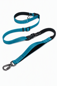 <span class=keywords><strong>Laisse</strong></span> de <span class=keywords><strong>chien</strong></span> mains libres à porter en bandoulière, ceinture de taille pour la course et la marche, <span class=keywords><strong>laisse</strong></span> en nylon réfléchissante avec <span class=keywords><strong>amortisseur</strong></span> de chocs pour chiens de taille moyenne à grande - Product Image 1