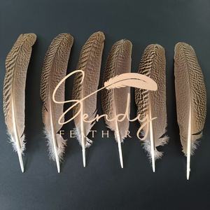 Producto de Artesanía con Plumas de Primera Calidad, Excelente Calidad, Precio Razonable, Alas de Pavo Real Natural Moteadas de 30-35 cm en Venta - Product Image 4