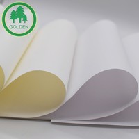 Papel para Cuadernos y Libretas Offset Blanco Sin Madera de 55gsm, 60gsm, 70gsm, 80gsm, 120gsm, de Gran Venta en el Mercado Brasileño