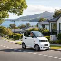 Berline électrique haut de gamme homologuée WVTA, vitesse maximale 25 km/h, 100 ch, conduite à droite pour adultes, porte-bagages métallique simple sur le toit