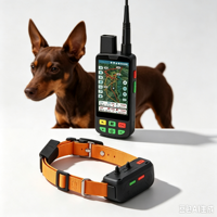 Traceur GPS GSM 4G/WiFi double mode, étanche IP68, en plastique ABS, autonomie de plus de 20 heures, détection de suivi de trace, direct usine