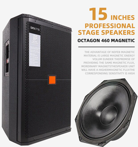 Haut-parleur professionnel <span class=keywords><strong>passif</strong></span> portable de 15 pouces <span class=keywords><strong>pour</strong></span> système audio de fête à domicile, karaoké, scène, DJ et amplificateur - Product Image 2