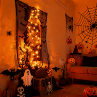 Ensemble de lumières décoratives d'Halloween DIY : Toiles d'araignée, nappe, rideau de porte noir, dentelle, écran de fenêtre, mur, lumières décoratives de fête