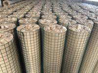 Roll Kawat Jaring Las Berlapis PVC Pabrik 1x30m