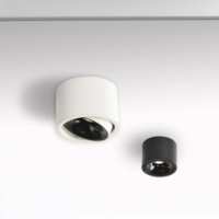 Design moderne LED monté en surface Downlight en aluminium angle réglable anti-éblouissement caractéristique fini SKD spécifications disponibles