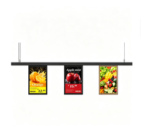 Écran double face 10,1 pouces, Android, haute luminosité, écran LCD numérique, affichage de prix électronique pour supermarché, directement de l'usine
