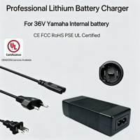 Chargeur rapide pour vélo électrique OEM/OEM 42V4A, certifié CE pour Yamaha PWseries S2 720Wh