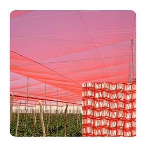 Phi Ớt trồng Virgin HDPE màu xanh lá cây Mono + Mono dệt phương pháp Sun Shade Net Màu Đỏ - Product Image 1