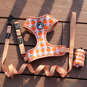 Rompi <span class=keywords><strong>Harness</strong></span> anjing, rompi hewan peliharaan tanpa tarik, Neoprene, bantalan dapat disesuaikan, keamanan, anak anjing UK, <span class=keywords><strong>Harness</strong></span> anjing lembut - Product Image 5