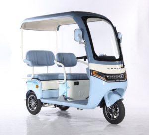 2025 nouveau 3 roues 1000W Scooter électrique corps ouvert 48V loisirs Tricycle Mini <span class=keywords><strong>moto</strong></span> électrique Ha Niu No.7 - Product Image 2