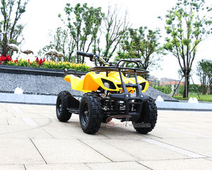 <span class=keywords><strong>Quad</strong></span> électrique pour enfants, mini <span class=keywords><strong>36v</strong></span> 350w, nouveau design, vélo électrique pour adultes - Product Image 2