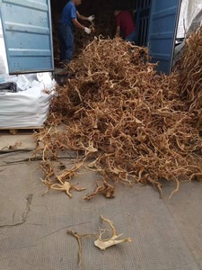 Grand bonsaï pré-bouilli bois flotté forêt tropicale humide écologique Yinuo ornements d'aquarium décor de réservoir de poissons sacs de salon - Product Image 4