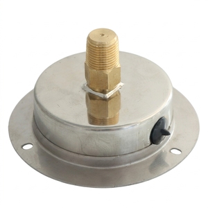 Y75ZT Fabriqué en Chine, jauge en acier inoxydable 304SS bon marché de 3 pouces avec raccordement arrière - Product Image 4
