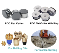 1304 1308 1313 1613 Pdc Cutters Coupe-diamant polycristallin Inserts PDC pour foret de roche Forage de puits Pétrole et gaz