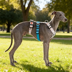 <span class=keywords><strong>Harnais</strong></span> pour chien de conception anti-évasion doux et durable, super confortable, fournisseur d'animaux de compagnie, <span class=keywords><strong>harnais</strong></span> pour chien de luxe en matériau personnalisé, sans traction - Product Image 3