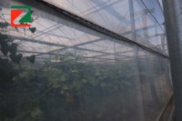Serre Agricole Solaire Avancée ZhuoTai – Matériaux en Acier Durables, Grand Cadre Tubulaire Rond Stable pour Usage en Jardinage