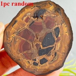 Vente en gros de cristaux de guérison naturels de haute qualité, artisanat en pierre de dos de tortue marocaine, tranche pour la décoration de la maison - Product Image 4