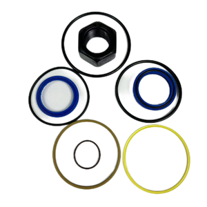 Nouveau kit de joints de vérin hydraulique 7135547 pour moteur S250 - Product Image 3