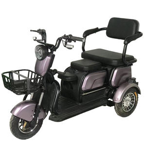 Vendita Diretta dalla Fabbrica Nuovi Eleganti Tricicli Elettrici a 3 Ruote Personalizzabili Bici Elettrica in Acciaio per Famiglie e Passeggeri - Product Image 5