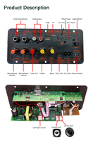 Mini carte d'amplificateur de basse haute puissance 100W Module de caisson de basses numérique de classe D Portable amplificateur numérique Mono canal sans fil