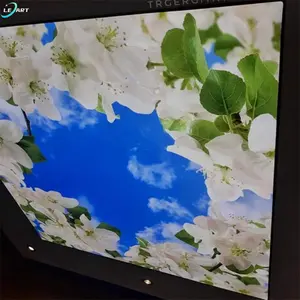 Feuchtigkeitsfeste Plattenstift Kunstblumen Deckenpapier Wandbild-Design 3d Falsche Dehnung Decken für Balkon