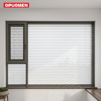 Persianas de PVC OPUOMEN para Exteriores, Contraventanas de Seguridad para Ventanas