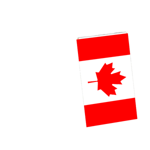 批发3x5ft英尺可定制68D/100D聚酯加拿大法索丝绸三角旗各国从可靠的供应商处快速交货 - Product Image 1