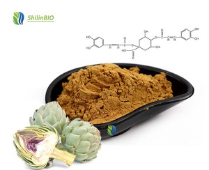 Экстракт листьев артишока SLBIO, порошок, 2,5-5% цинарина, CAS 30964-13-7 - Product Image 1