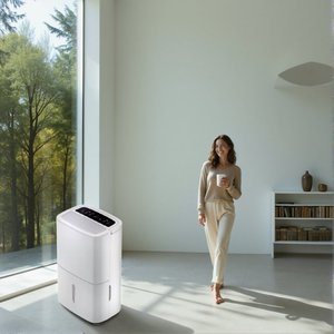 Ydz2 10L/ngày R290 máy nén điện máy hút ẩm với quần áo khô chức năng cho hộ gia đình sử dụng - Product Image 1