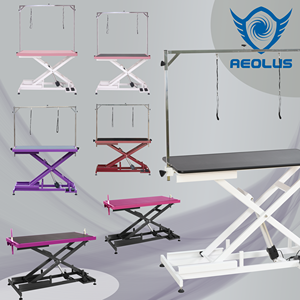 Table <span class=keywords><strong>de</strong></span> toilettage électrique pour animaux <span class=keywords><strong>de</strong></span> compagnie Aeolus, économique, double bras, commande au pied, hauteur réglable, table pour <span class=keywords><strong>chien</strong></span> <span class=keywords><strong>de</strong></span> salon <span class=keywords><strong>de</strong></span> toilettage - Product Image 4