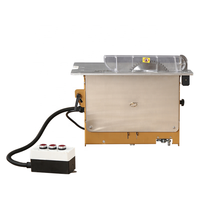 Sierra de Mesa Mini de Precisión para Trabajar la Madera Wanjia Machinery WT20, con Mesa Deslizante para Corte de Madera