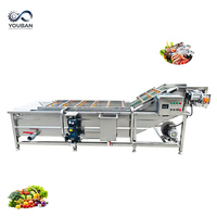 YOUBAN Commerciële Bubbelwasmachine Industriële Groente- en Fruitreinigingsmachine Met Ozon Desinfectiefunctie