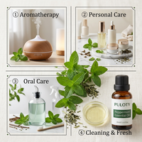 Huile de menthe poivrée pure 30 ml, distillée à la vapeur, huile de menthe OEM ODM, approvisionnement en vrac pour l'aromathérapie, les cosmétiques, les soins bucco-dentaires, le nettoyage, matière première
