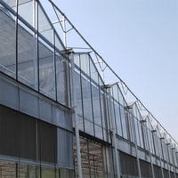 Serre hydroponique Venlo Système de refroidissement trempé Filet d'ombrage Agriculture Serre en verre multi-travée