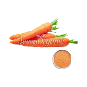 Type de supplément de poudre d'extrait de racine de carotte en gros pour la santé et le bien-être - Product Image 1